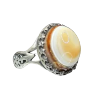 بابا قوری ۳ پوست