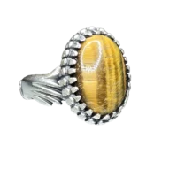 تایگر دست و دلبر