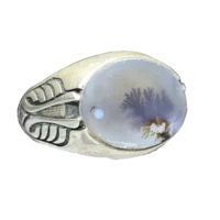 شجر درختی صفوی