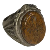 شجر پاییزه رکاب زنجان