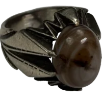 ۳ پوست باباقوری