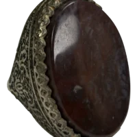 شجر پاییزه درشت