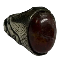 شجر پاییزه رکاب درویش