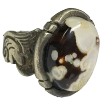 سلیمانی مصور