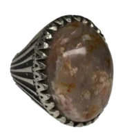 شجر شکوفه بهاره